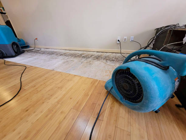 Professional Sewage Cleanup technician working in Rhineland, MO